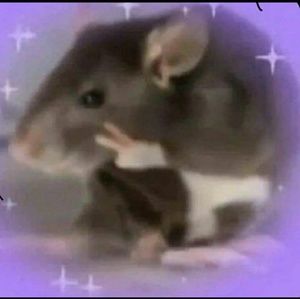 Meet your Posher, Hira